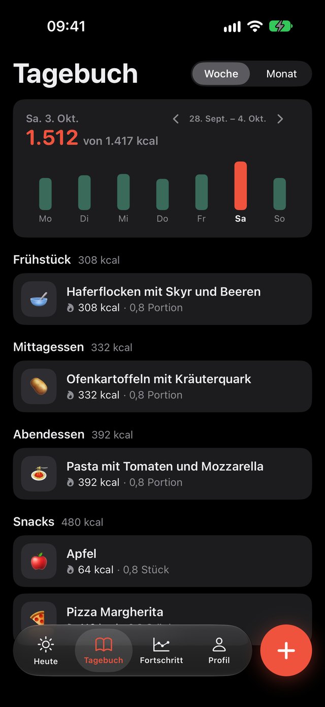 Tagebuch